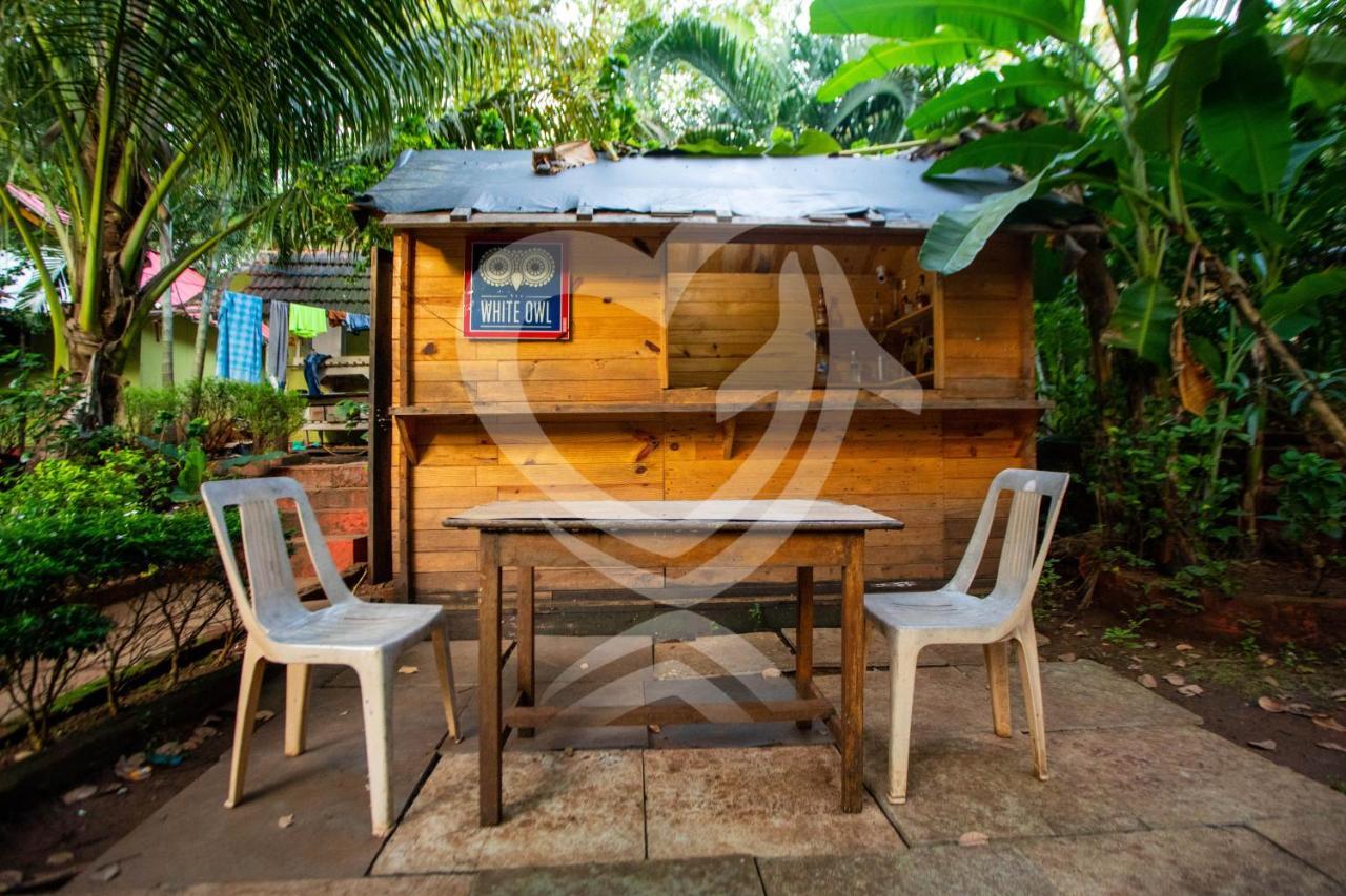 Zulu Land Cottages - Near Curlies Beach Shack And Shiva Valley - Anjuna Beach Eksteriør bilde